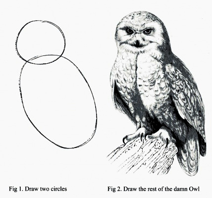 HowToDrawOwl